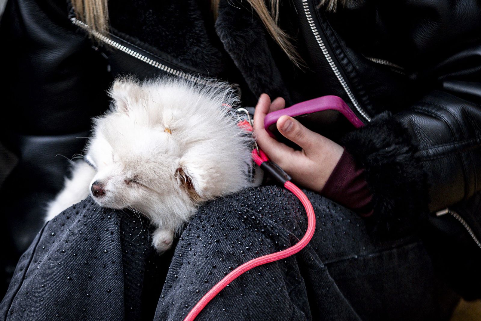 Las imágenes de la mejillonada popular en Cádiz 2026