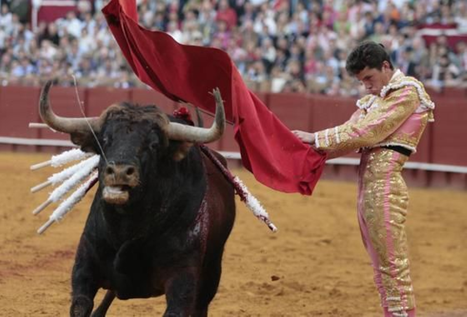 Luque cierra la tarde con el sexto toro.

Foto: Juan Carlos Muñoz