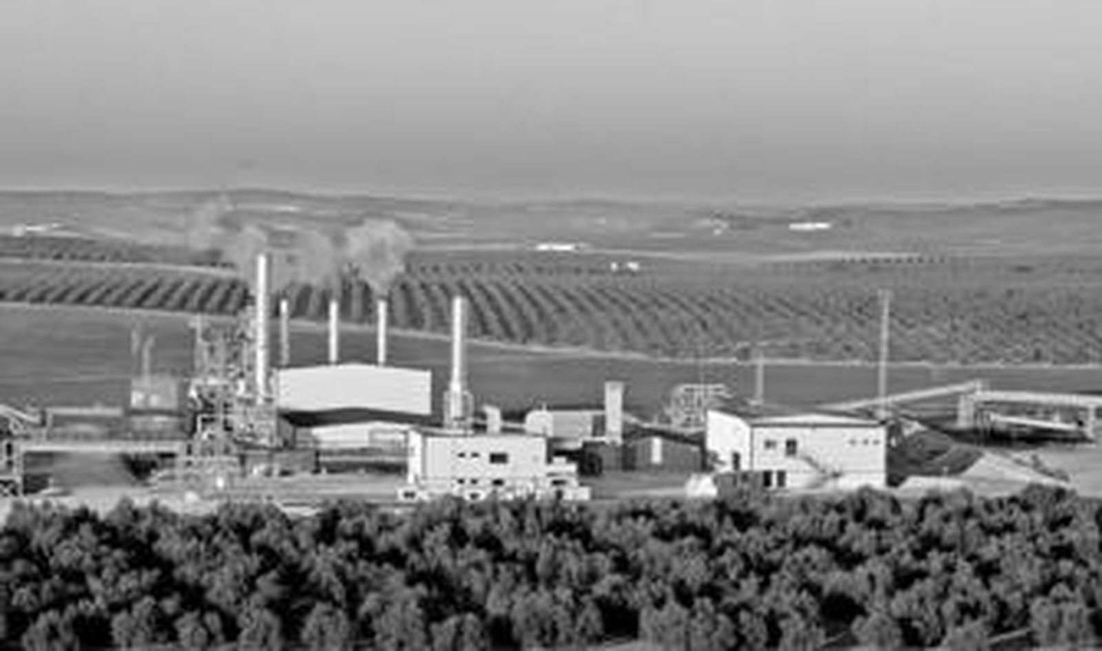 Instalaciones de Valoriza en el paraje de Pata de Mulo, entre los términos de Puente Genil y Santaella.