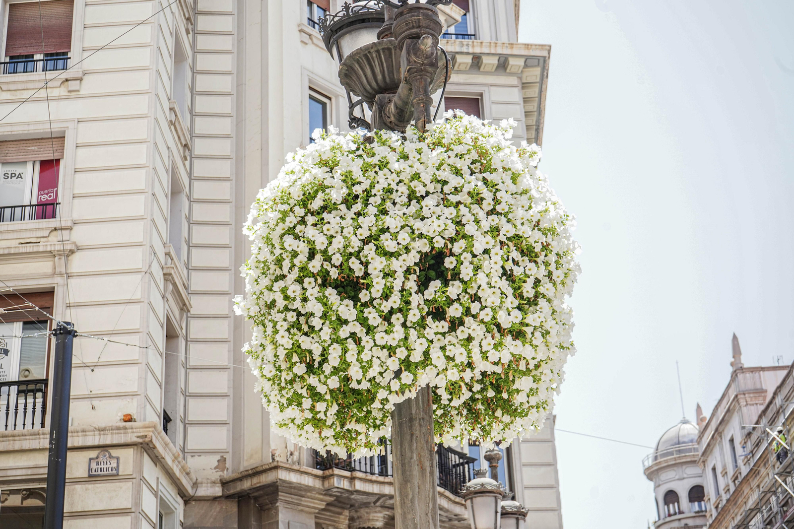 El espectáculo de Granada en primavera: las imágenes