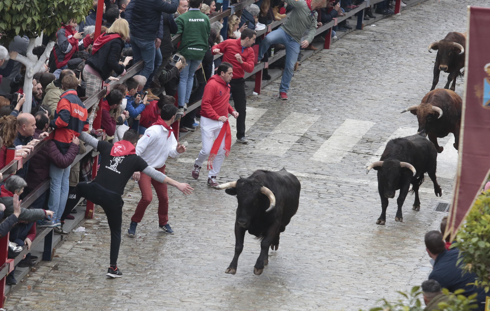 Las imágenes del encierro en La Puebla del Río