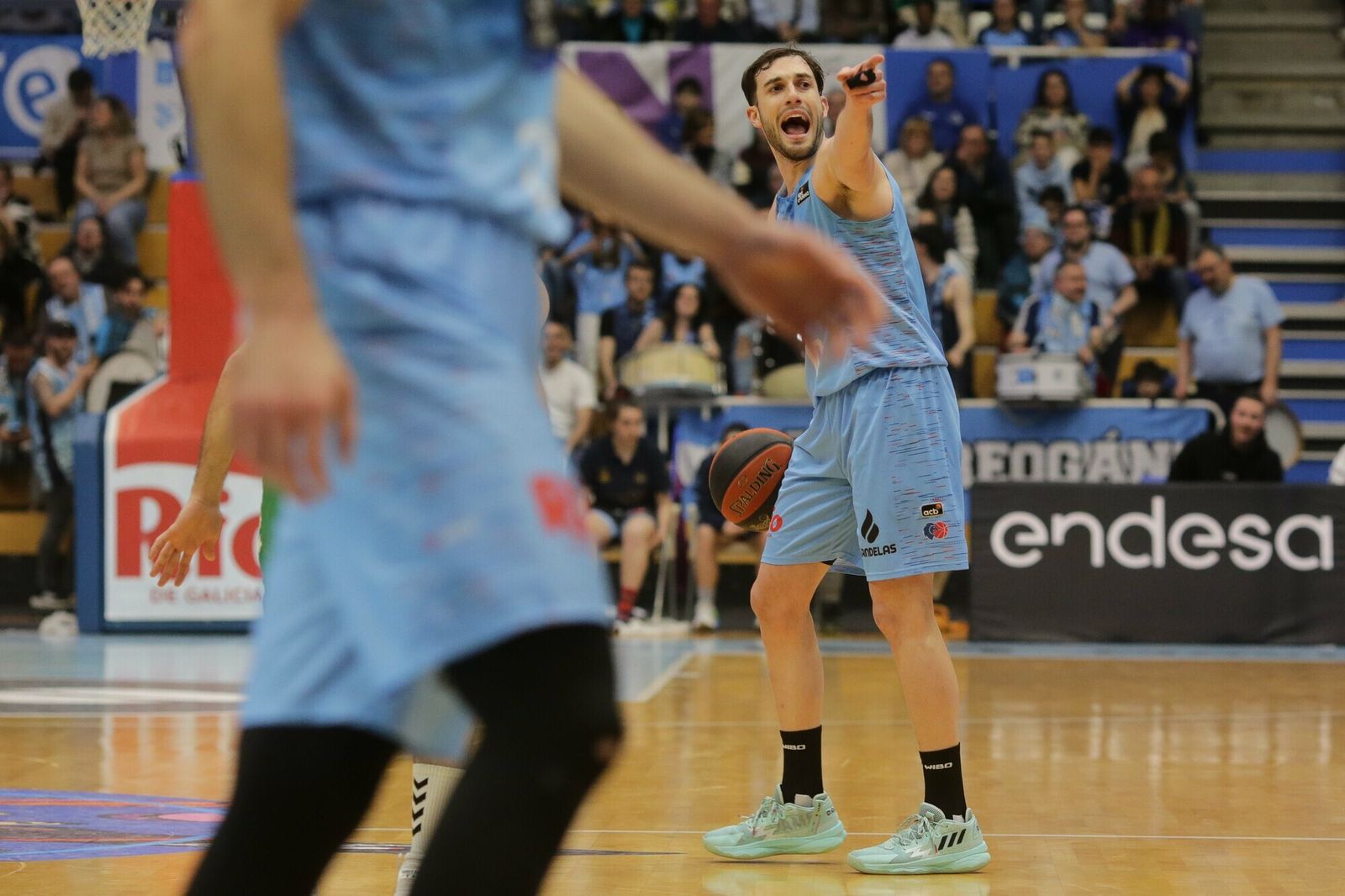 Las fotos del triunfo del Betis Baloncesto sobre el Breogán