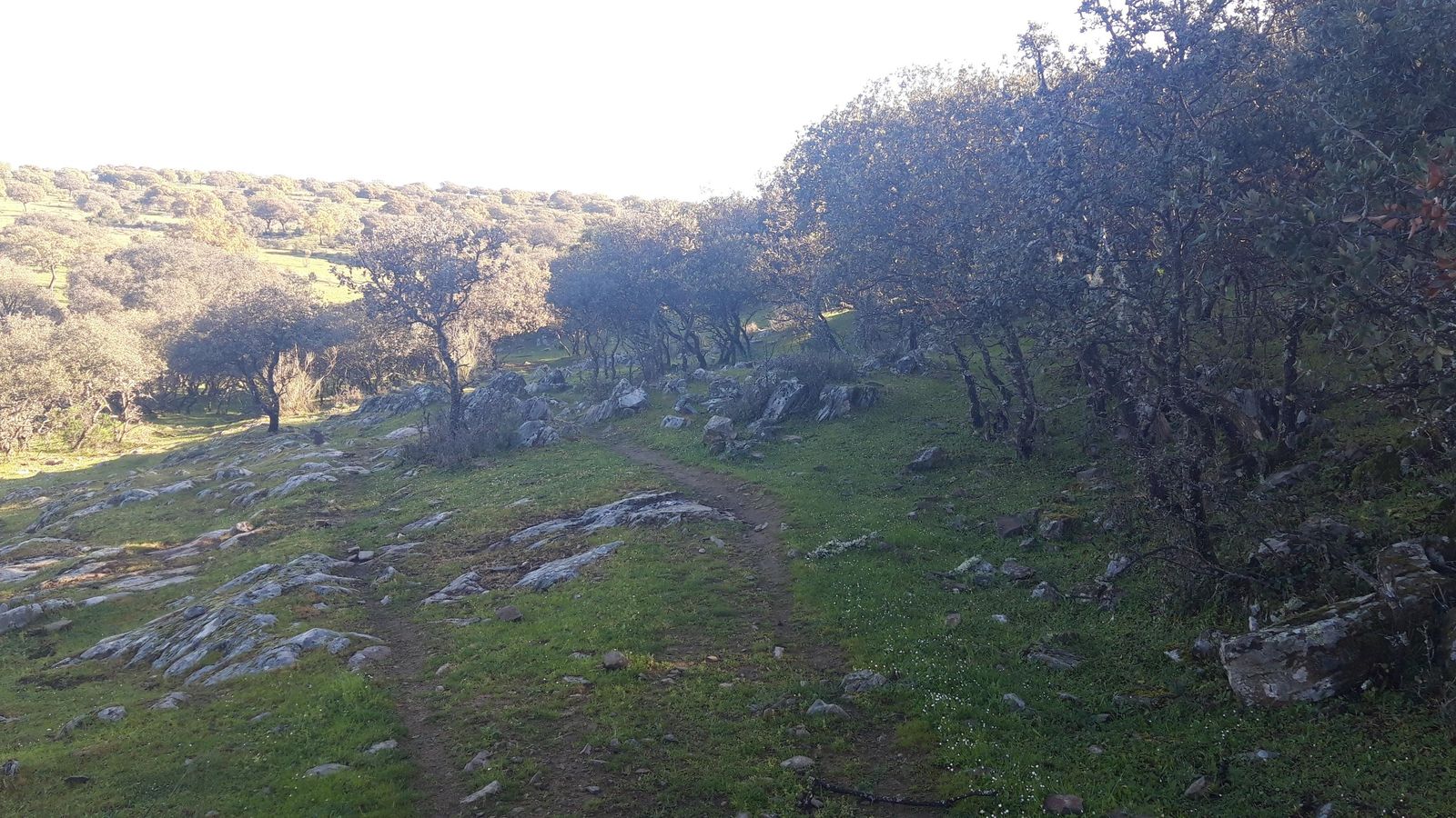 La primer aparte de esta etapa es muy bonita.