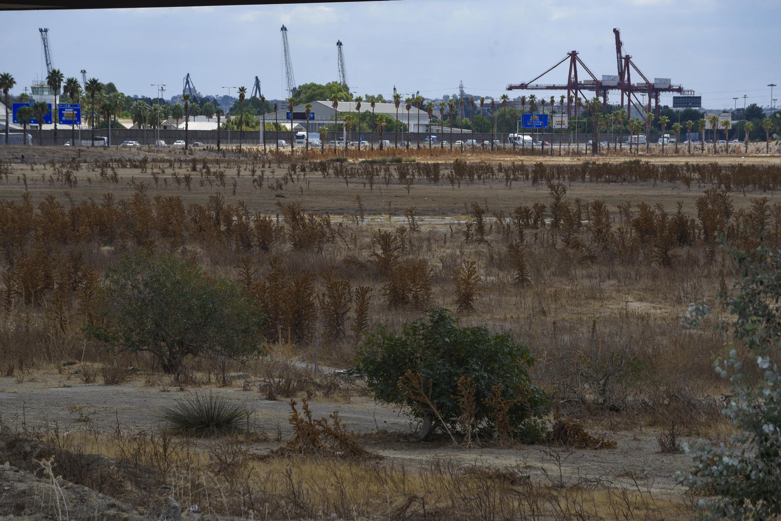 Los terrenos de Tablada y, al fondo, el Puerto.