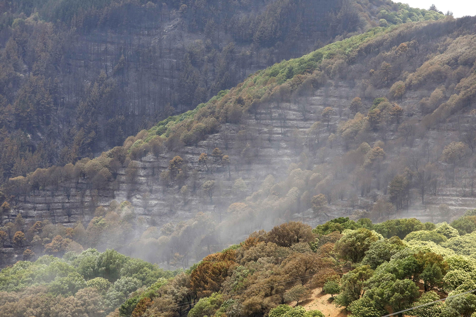 El incendio de Sierra Bermeja una semana después, en fotos