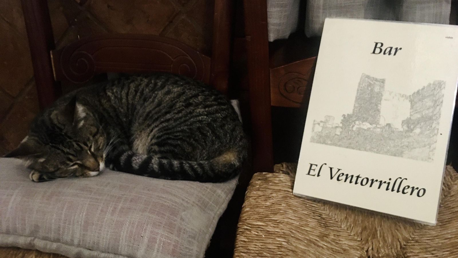 El gato de 'El Ventorrillero', echando una siesta.