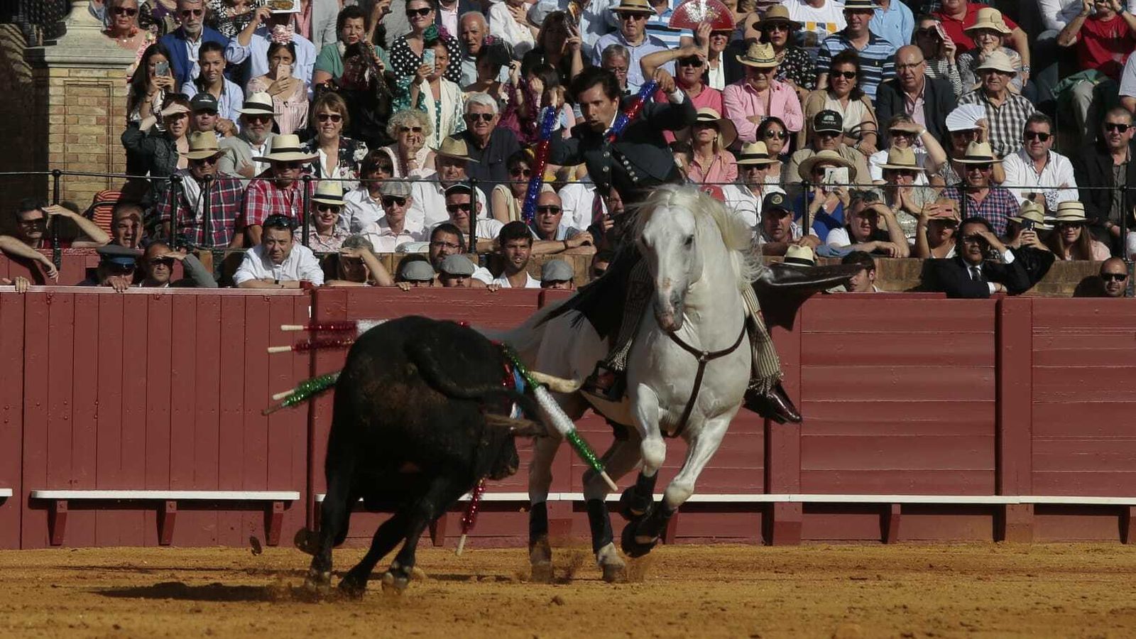 Ventura pone banderillas a manos sobre el caballo sin cabezal.