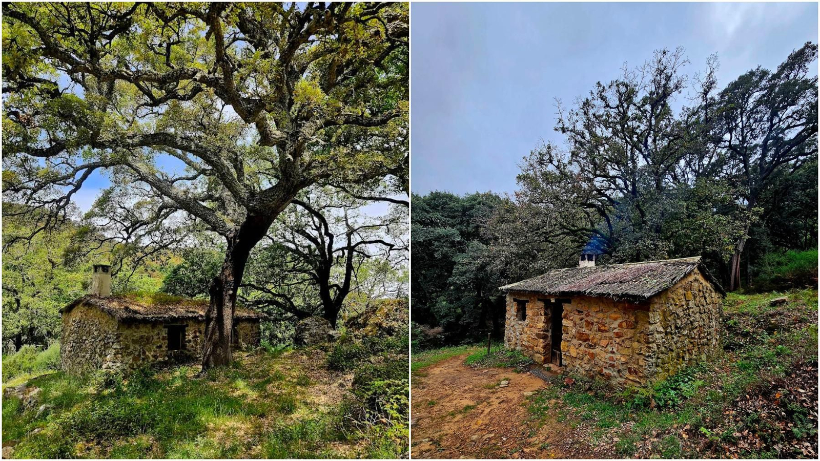 Dos de las cabañas de la aldea despoblada de La Sauceda.