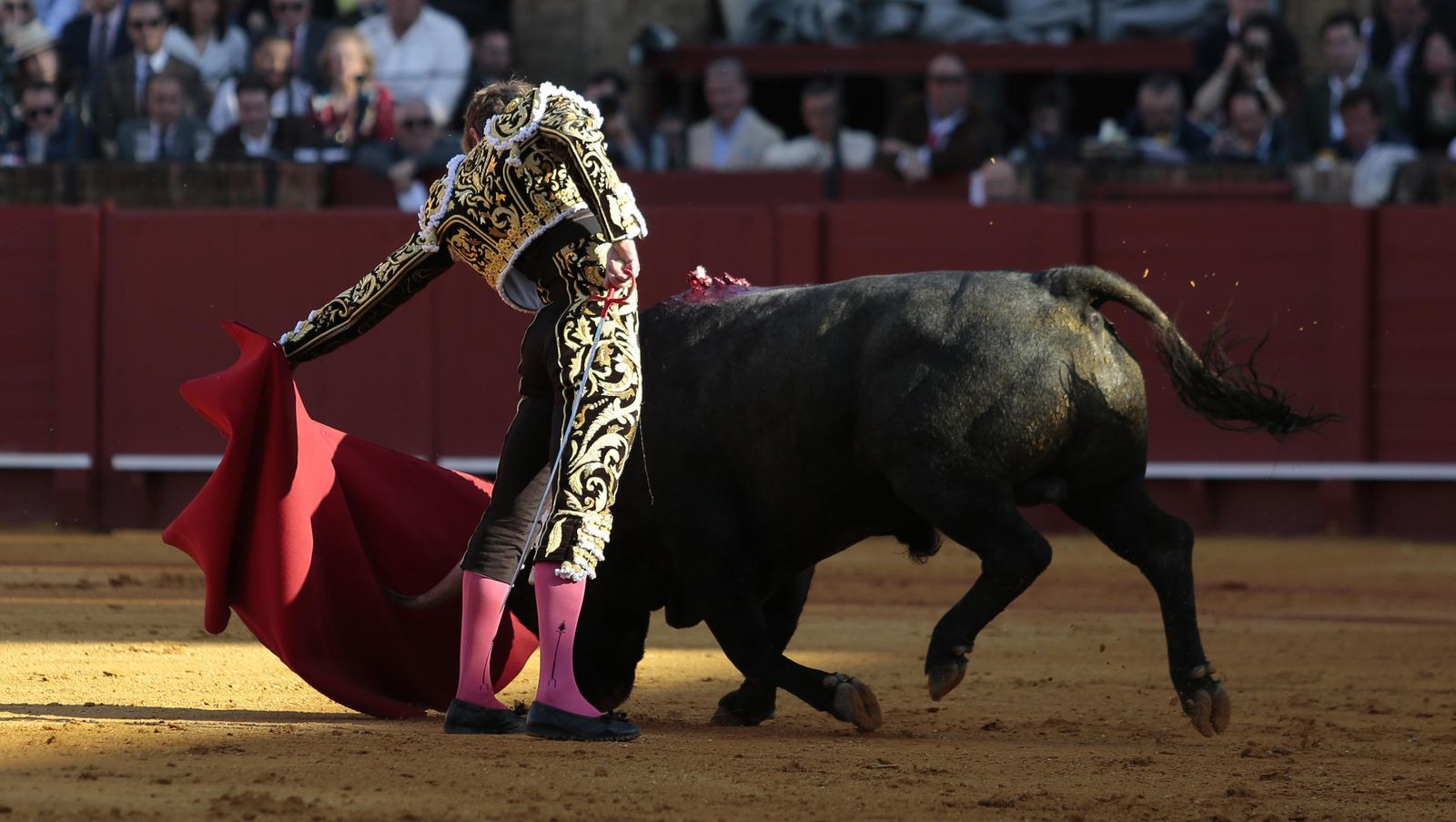 Sexta de abono en la Real Maestranza de Sevilla