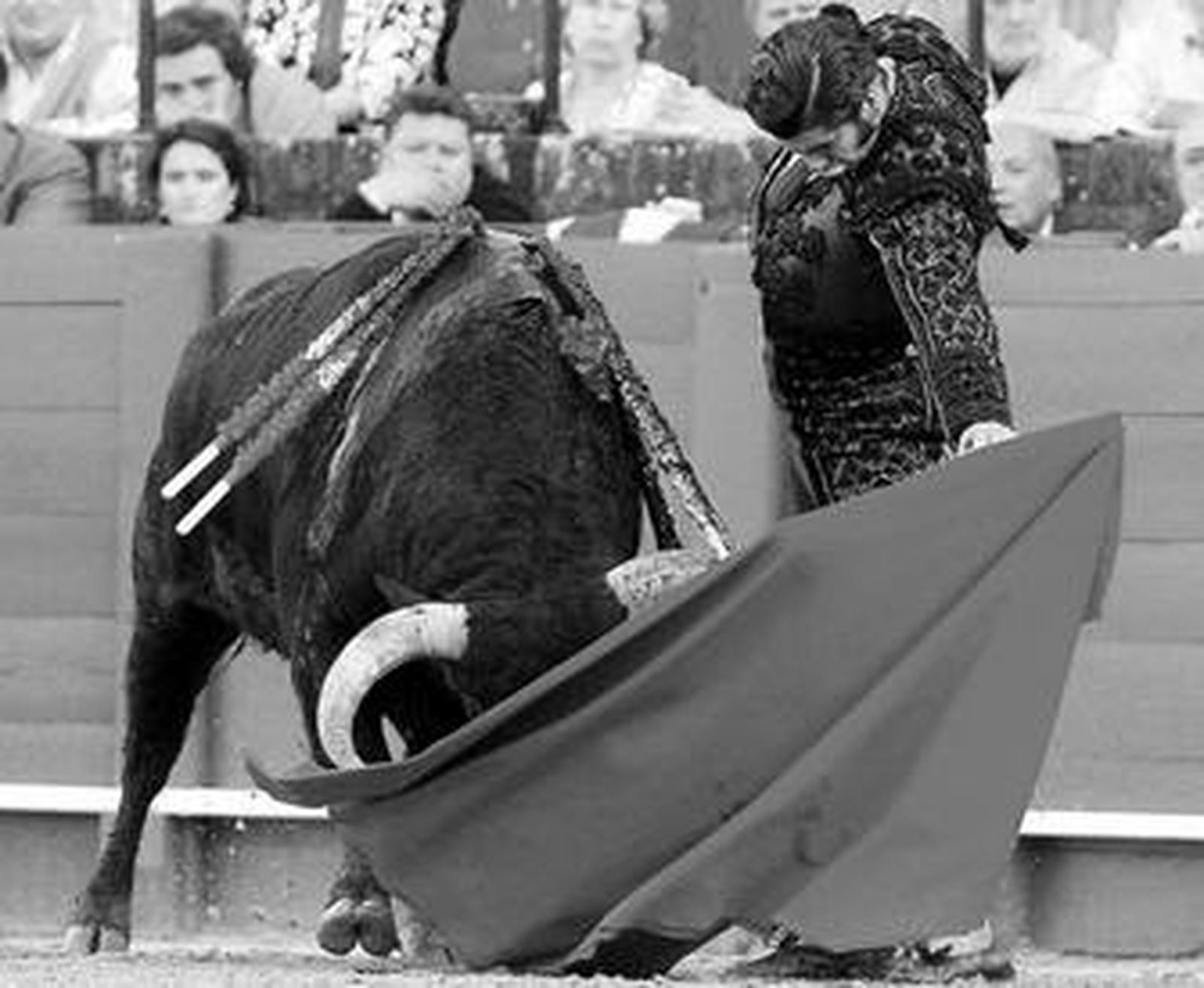 Morante de la Puebla, en uno de los naturales al tercer toro, de nombre 'Señorito'.