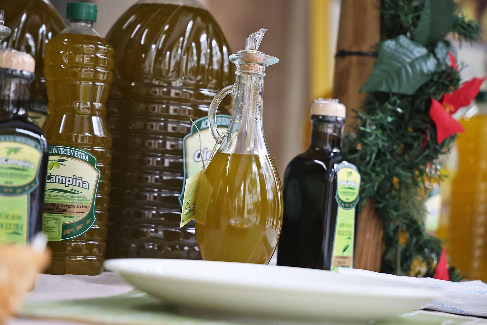 Muestra de aceites y quesos en la Diputación de Huelva (45)