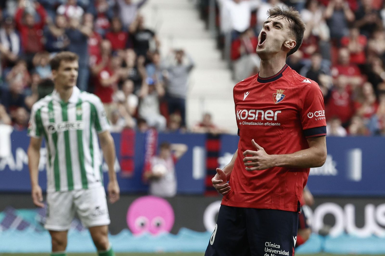 Las fotos del Osasuna - Betis