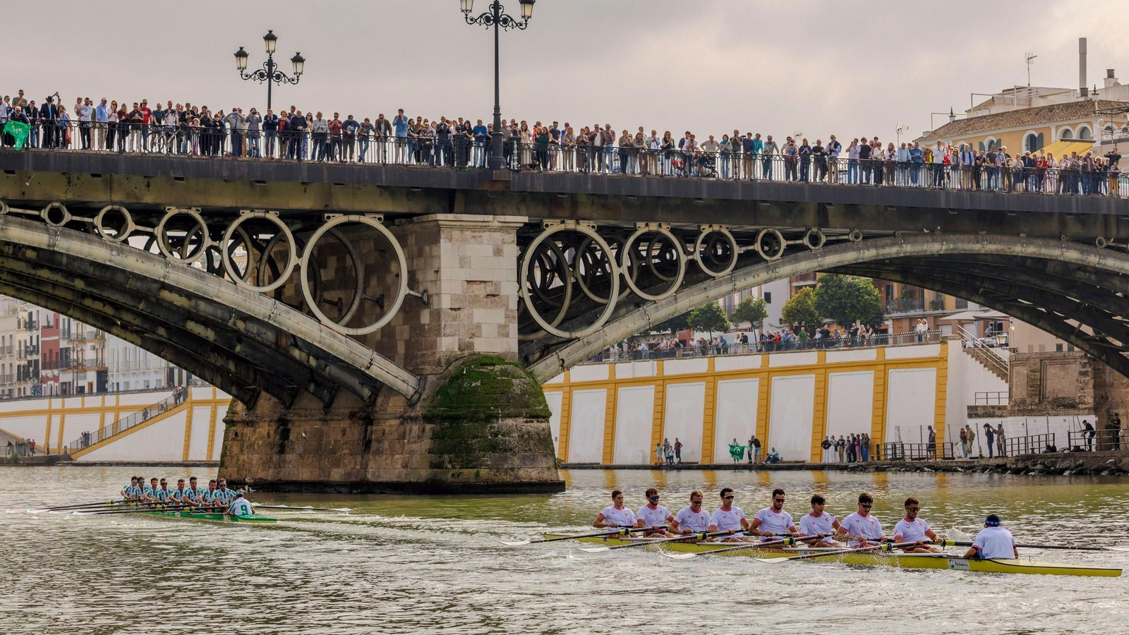 La regata Sevilla-Betis en la edición de 2024