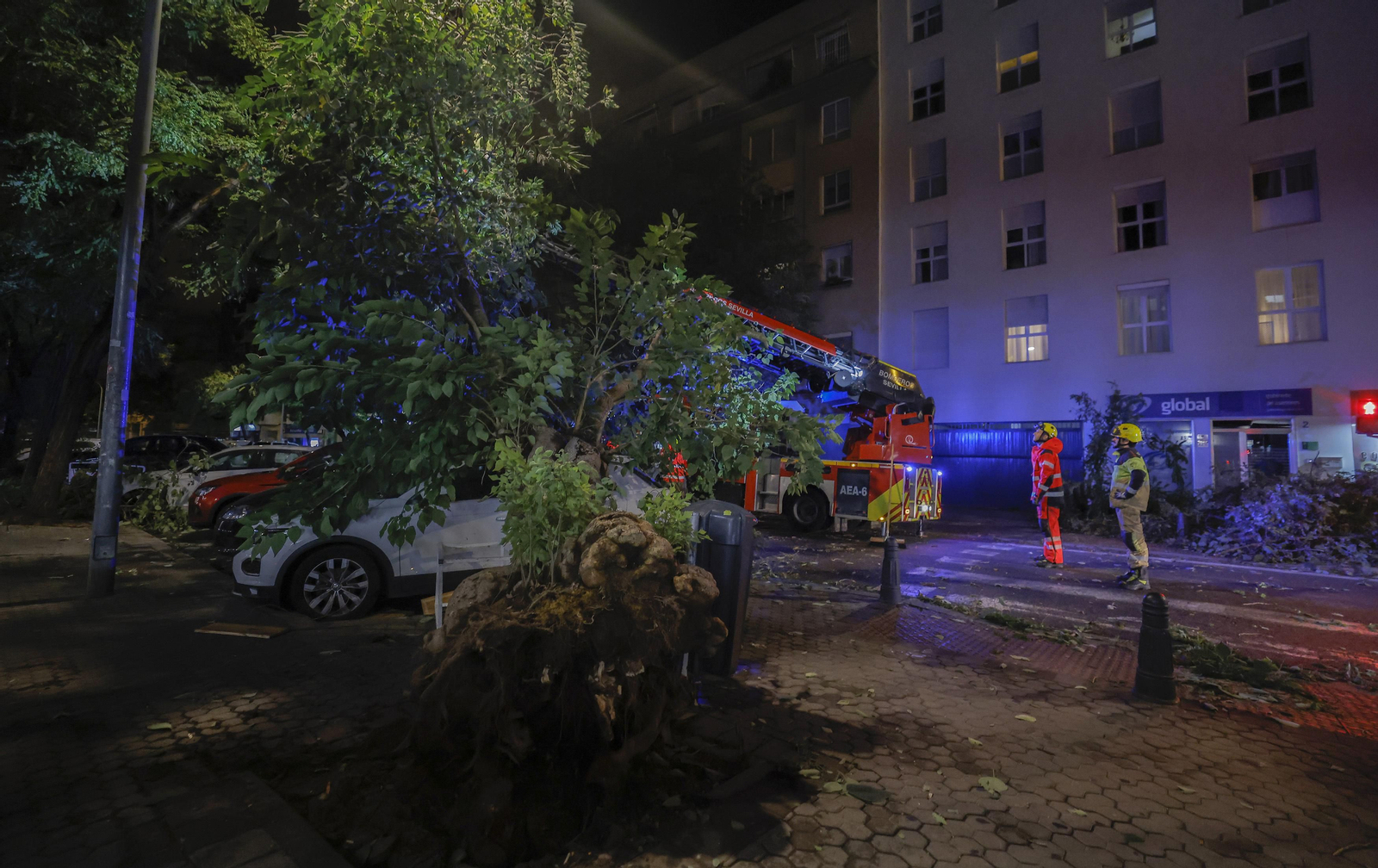 Los efectos de la borrasca 'Bernard' en Sevilla, todas las fotos