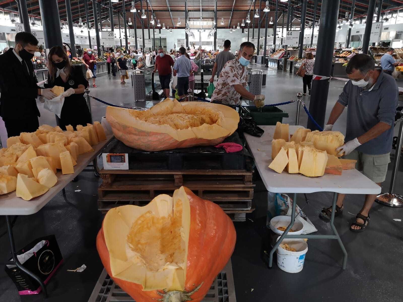 Reparten entre los almerienses la calabaza gigante de 456 kilos del Mercado Central.