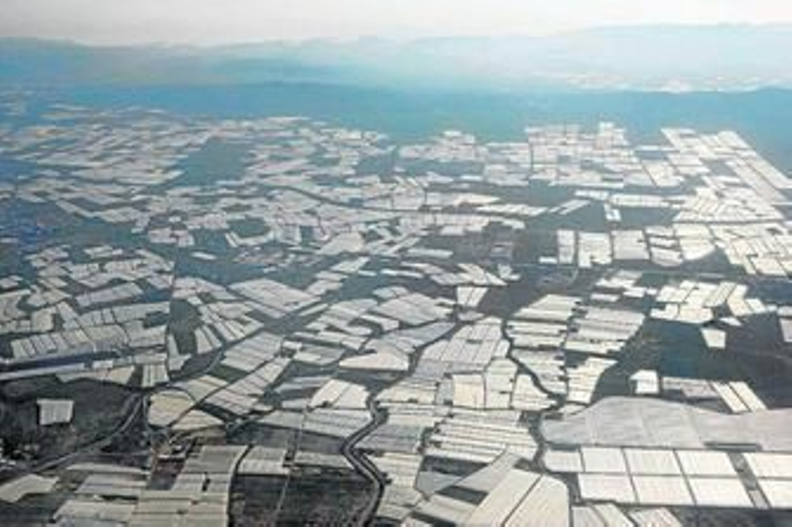 Del plástico al ladrillo, pasando por la inmigración