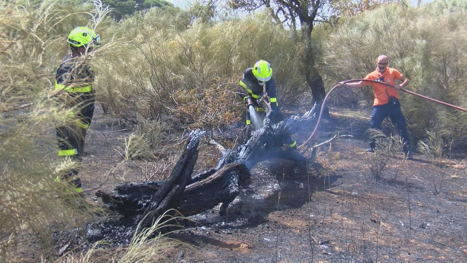 Bomberos y Protección civil en las labores de extinción Bomberos y Protección civil en las labores de extinción