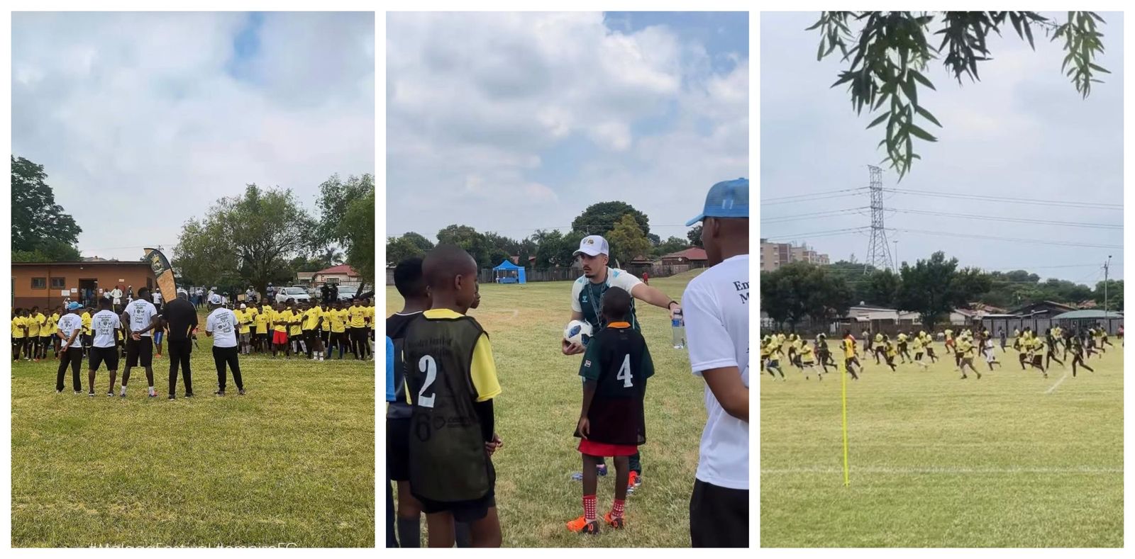 Draft del MCF en Sudáfrica