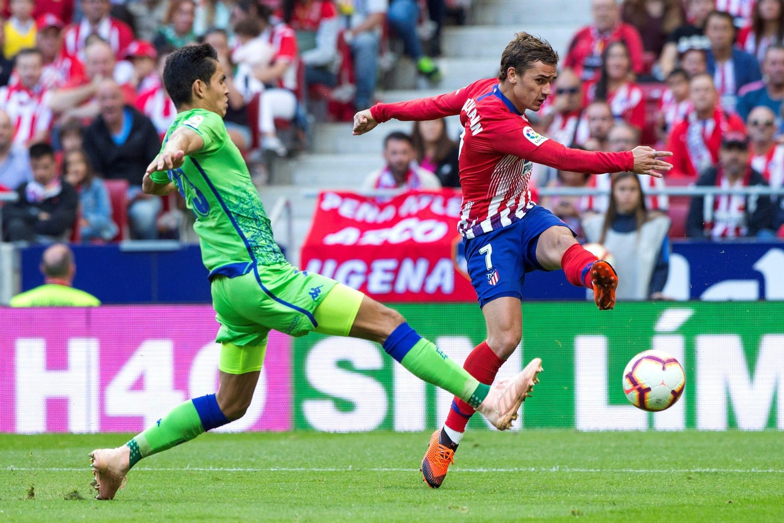 Las imágenes del Atlético de Madrid-Betis