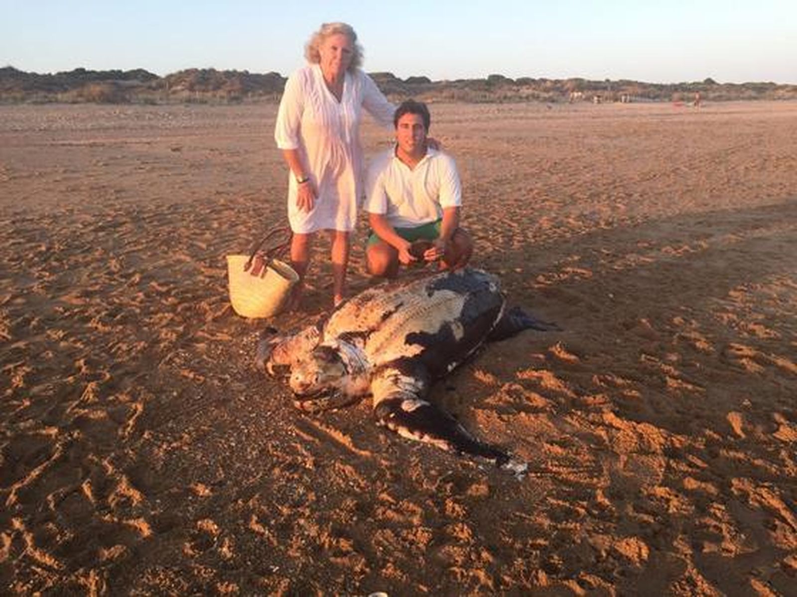 Tortuga laúd varada en la playa de los Enebrales (Punta Umbría)