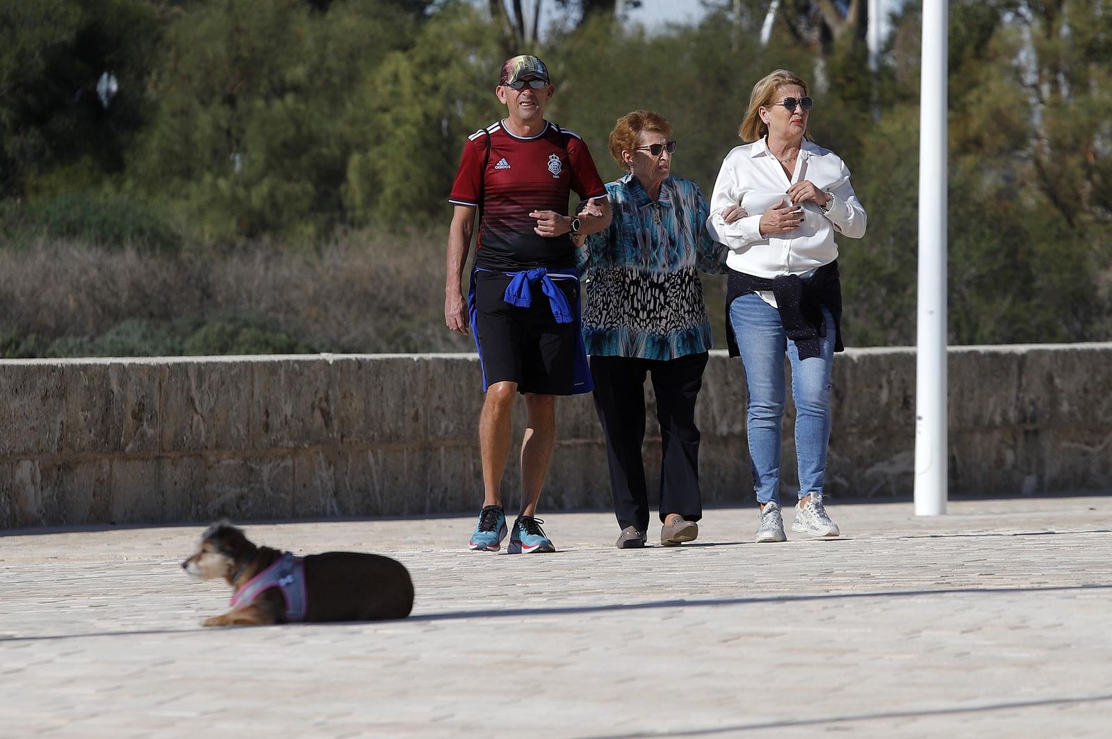 Imágenes del domingo 19 de noviembre en Huelva