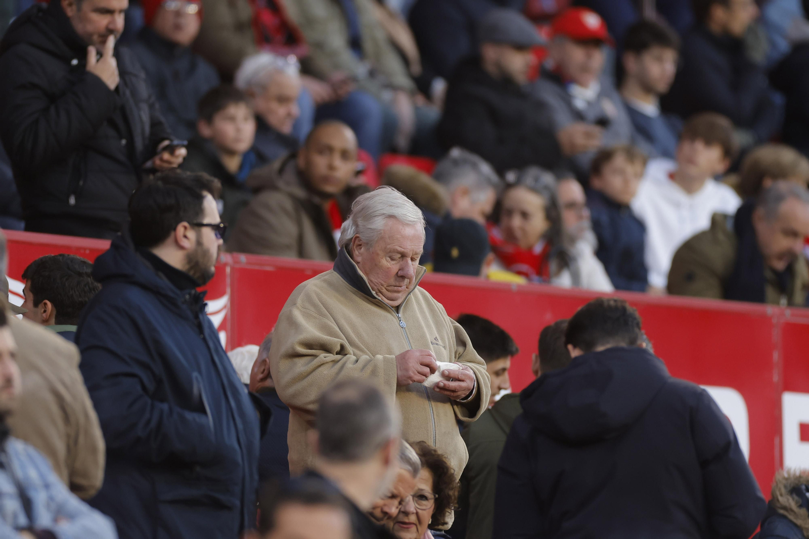 Búscate en las fotos del Sevilla-Elche