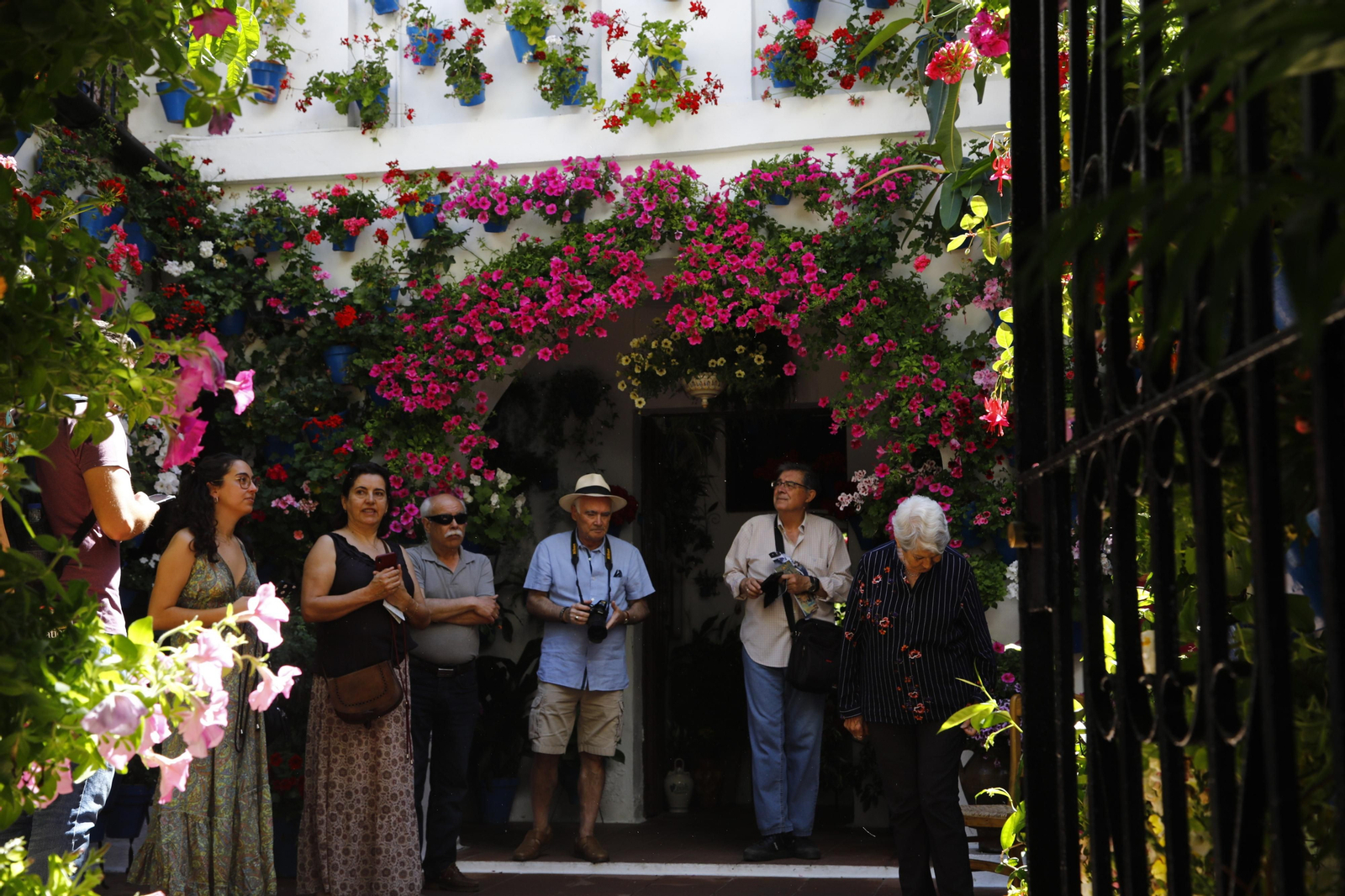 Los Patios de Córdoba se preparan para el fin de semana, en imágenes