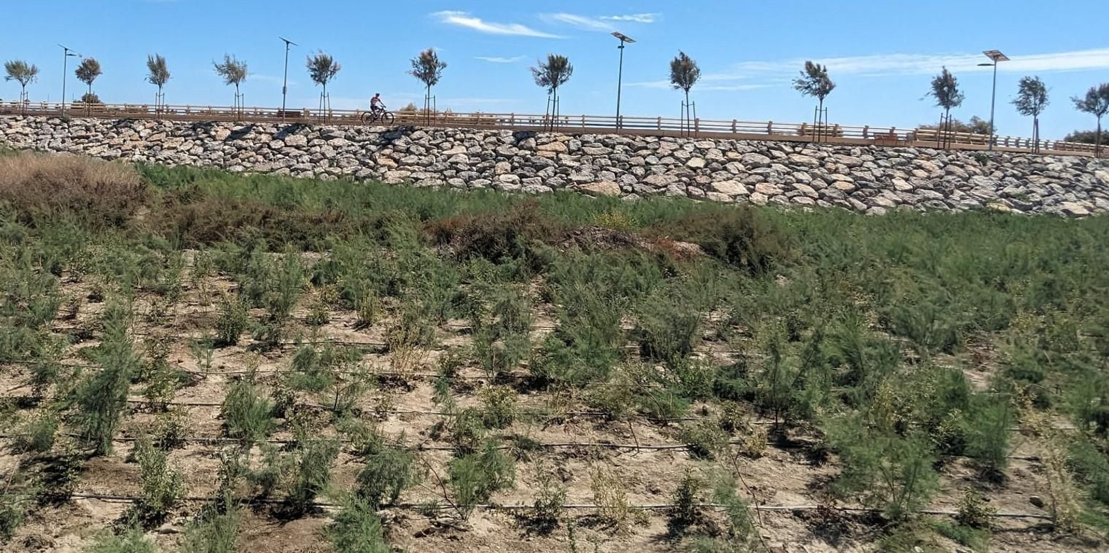 Un ciclista recorre uno de los tramos de carril bici ampliados en septiembre con la regeneración del Delta