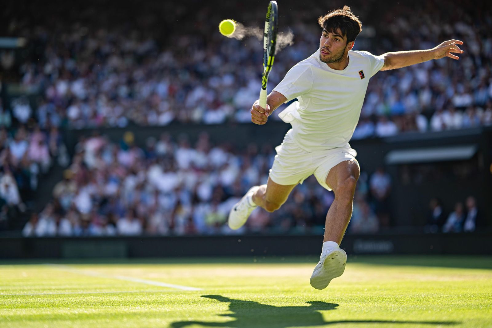 Tenis | Wimbledon 2025 Carlos Alcaraz