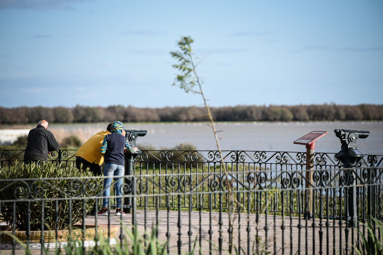 Imágenes del ambiente en la Aldea de El Rocío el domingo 26 de febrero