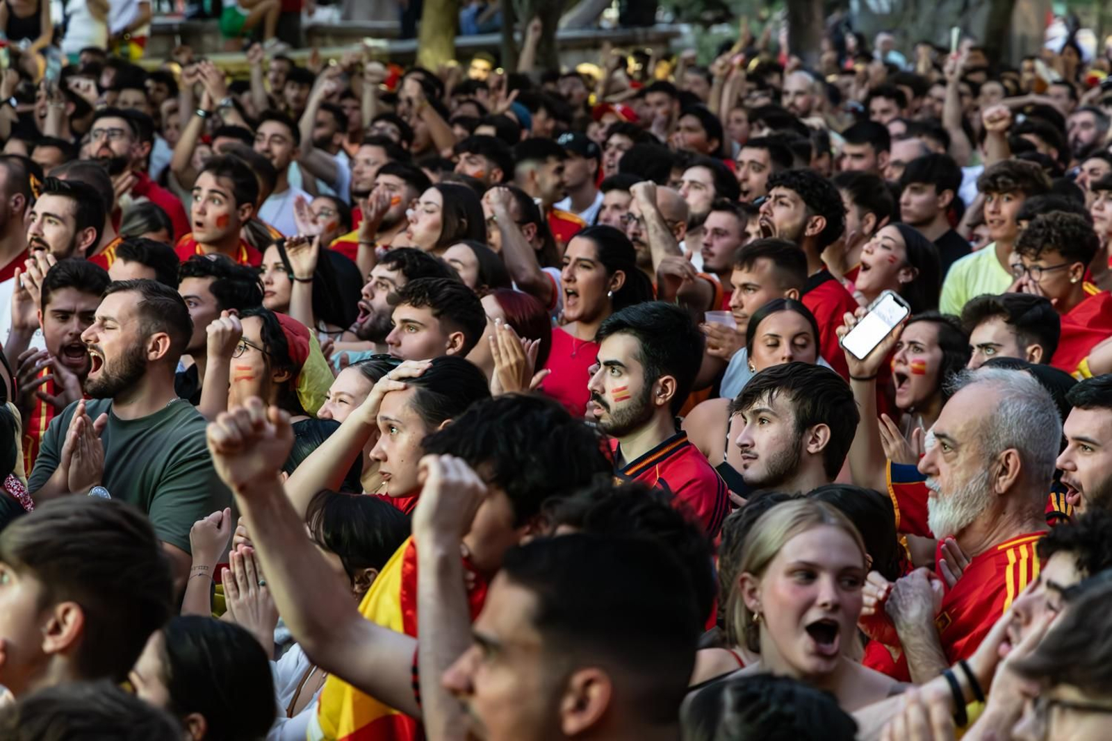 La euforia jiennense por la victoria de España, imágenes