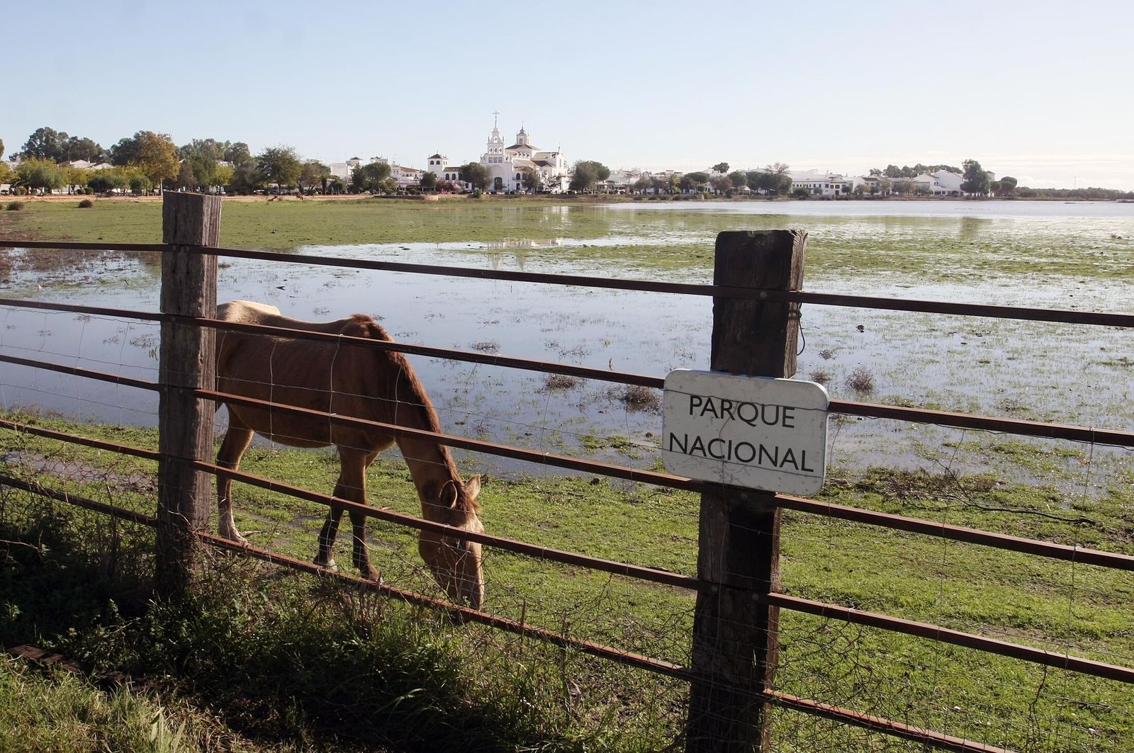 Parque Nacional de Doñana.