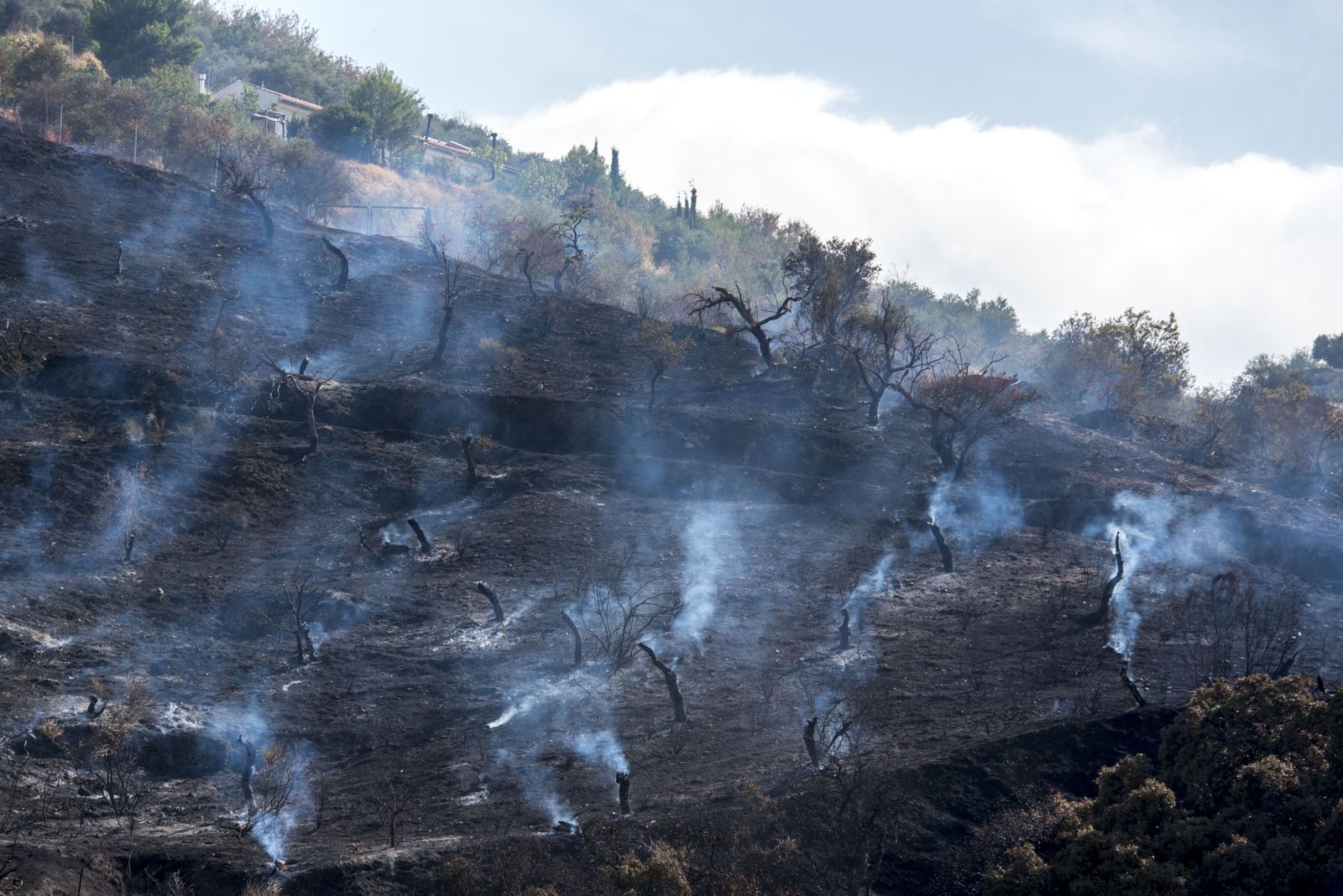 Imágenes del incendio ya estabilizado en Pinos del Valle
