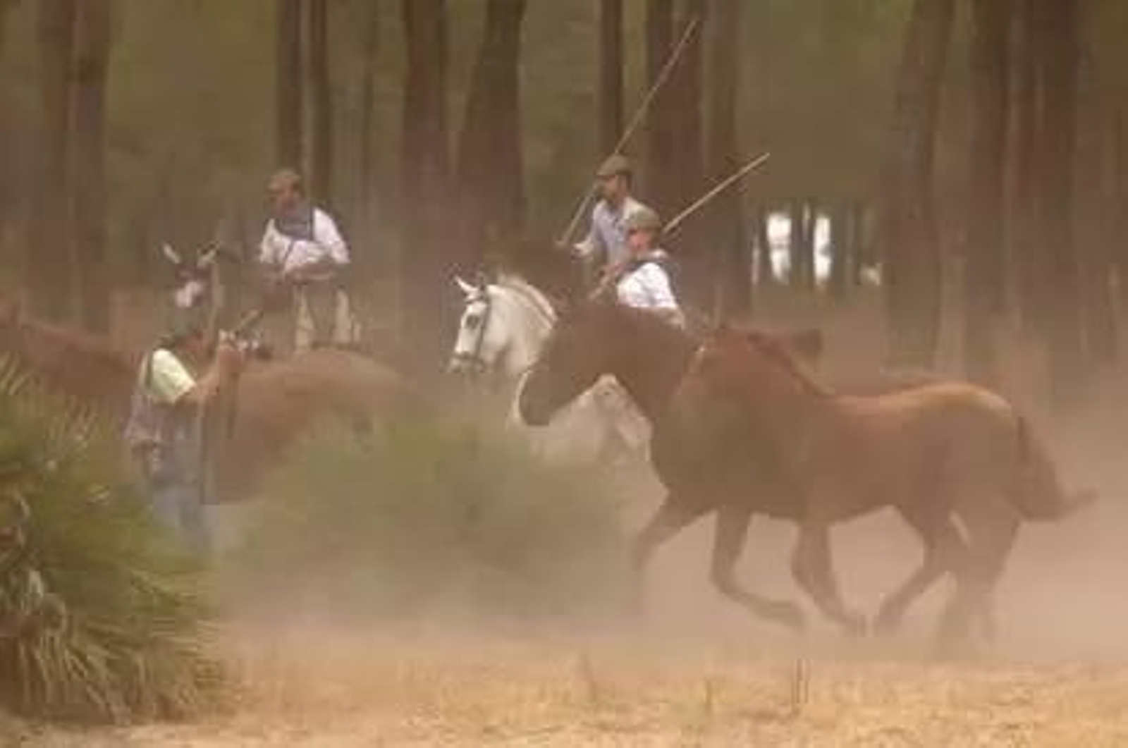 Las imágenes más destacadas del miércoles 26 de junio en Huelva