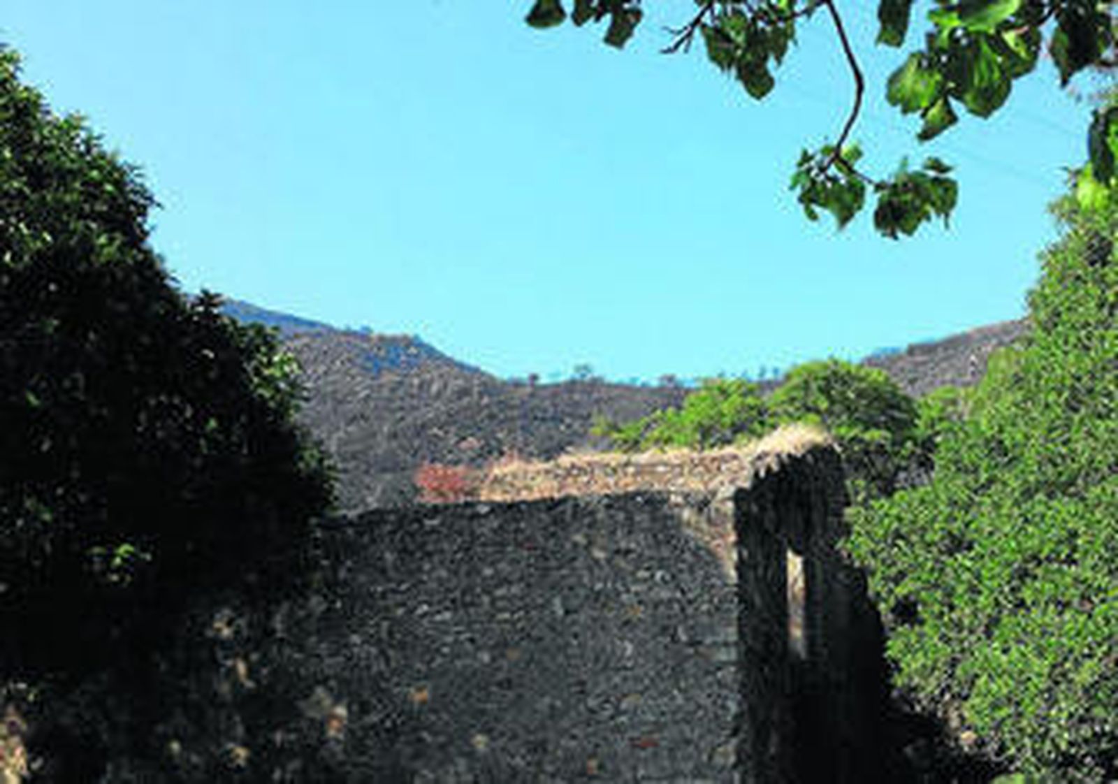 Un mes después aún arde el olor a cenizas