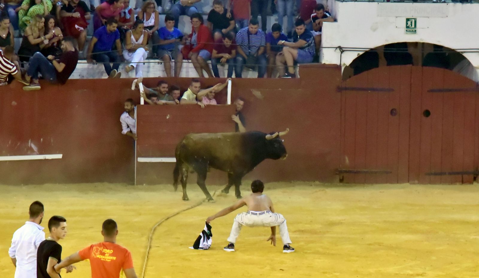 Toro del Aguardiente