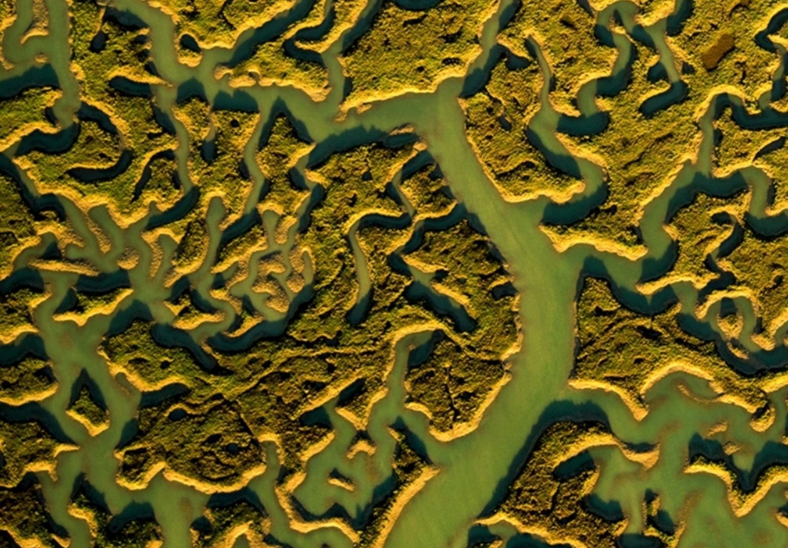 Imagen de los caños de Sancti Petri tomada desde una avioneta, que hoy viernes 30 de octubre es Foto del Día en National Geographic España.