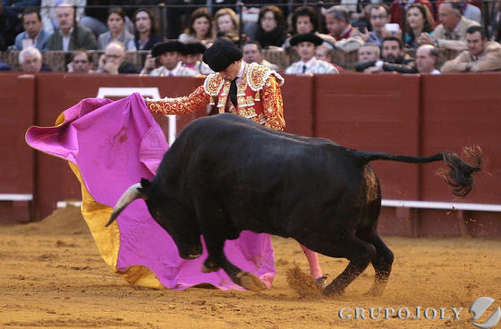 Lama de Góngora.

Foto: Juan Carlos Mu?