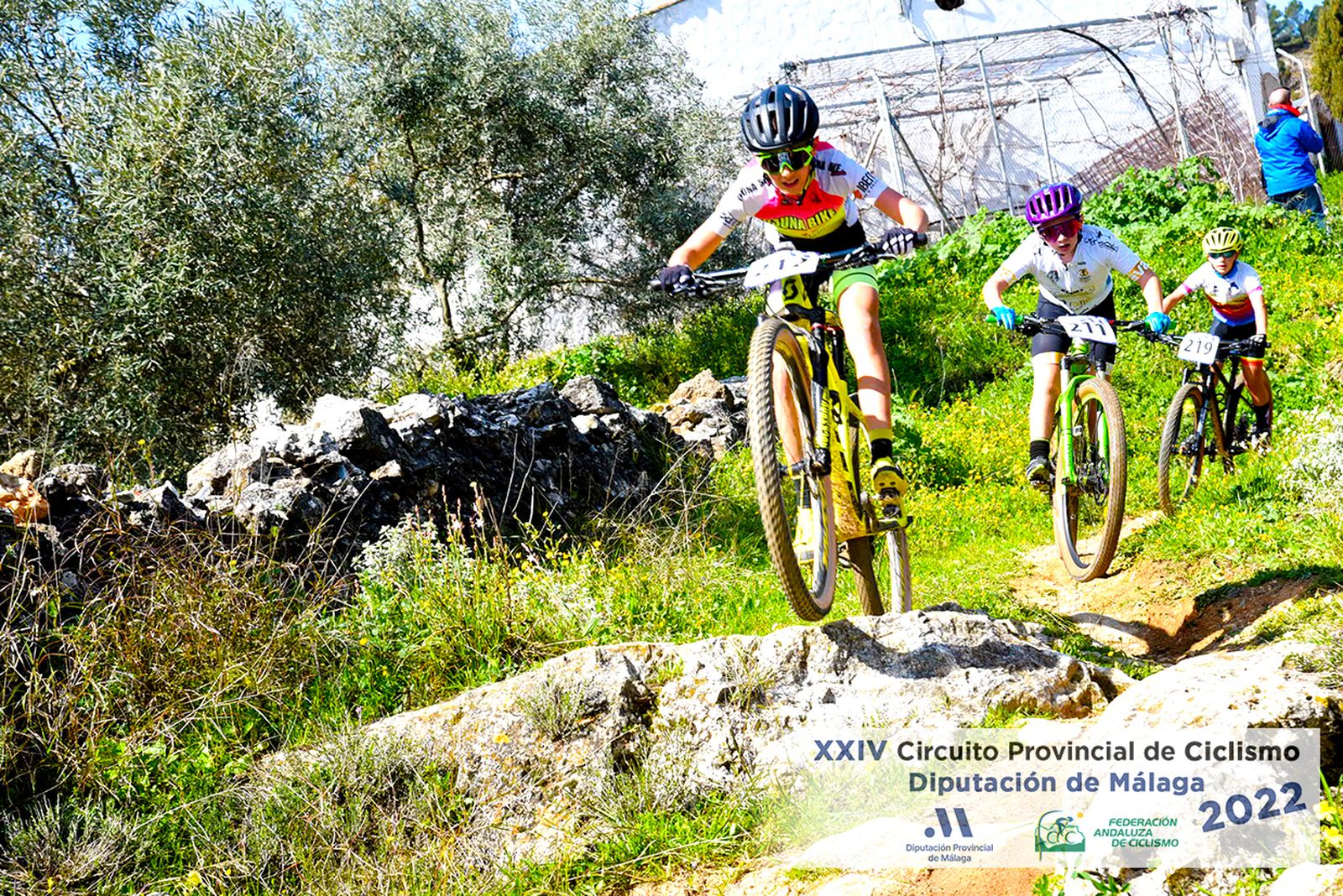 Imagen de la prueba.