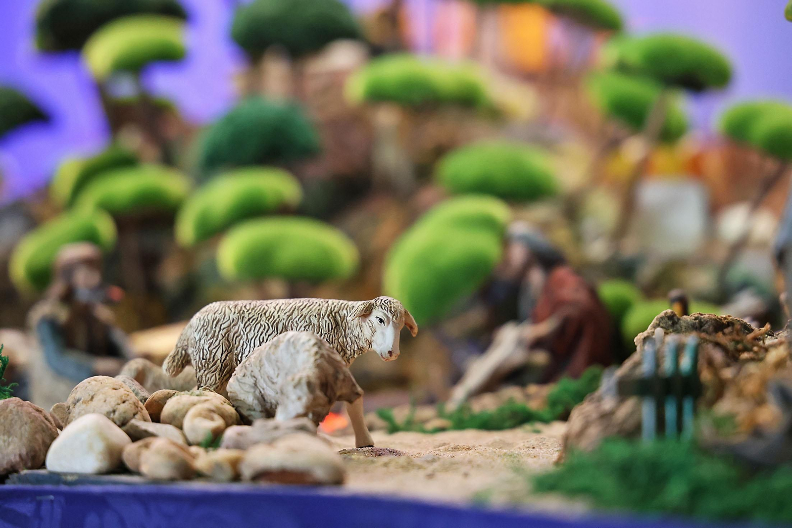 Imágenes del Nacimiento de la Hermandad del Nazareno