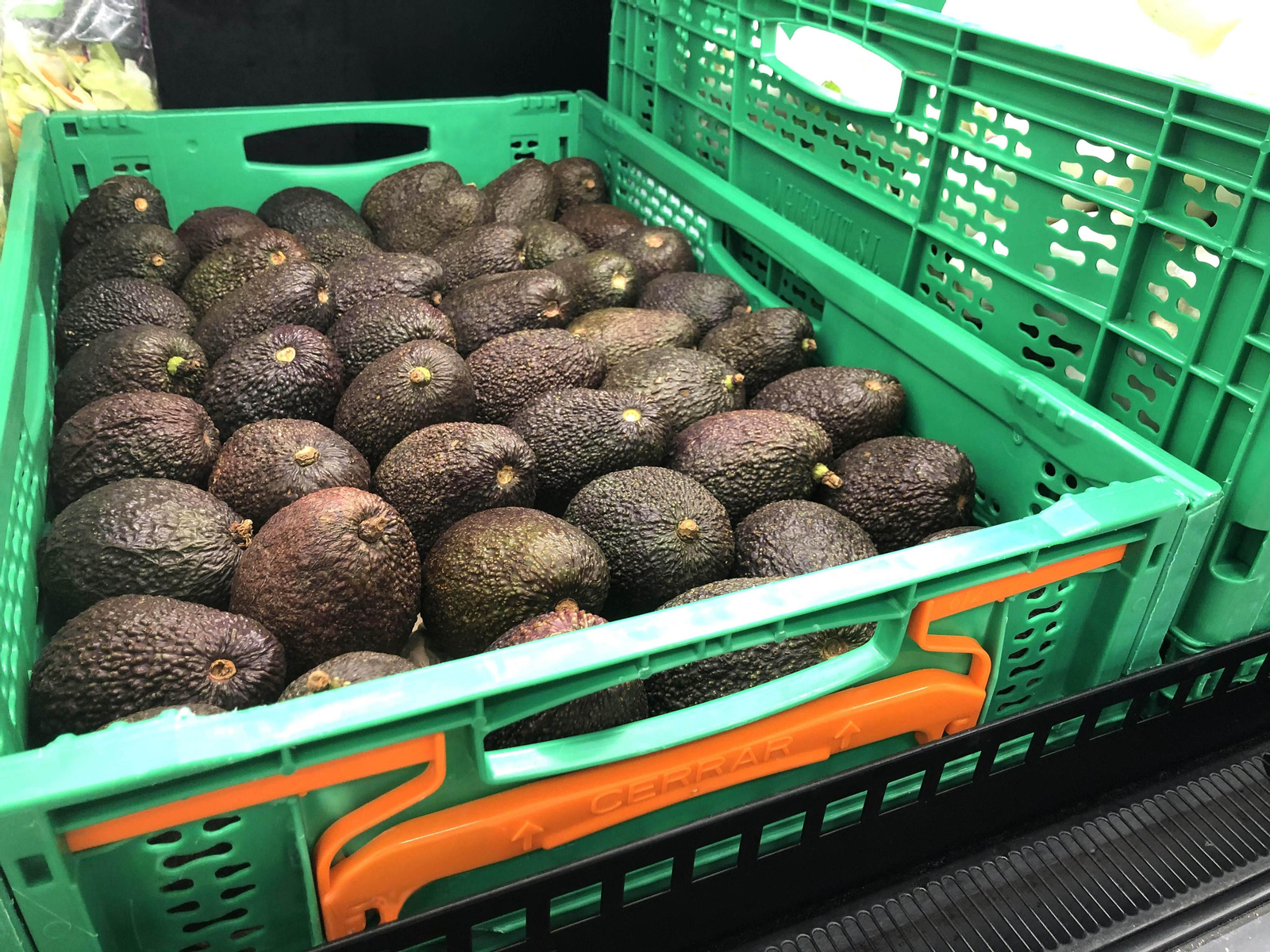 Mercadona compra más de 7.100 toneladas de aguacate andaluz para este año