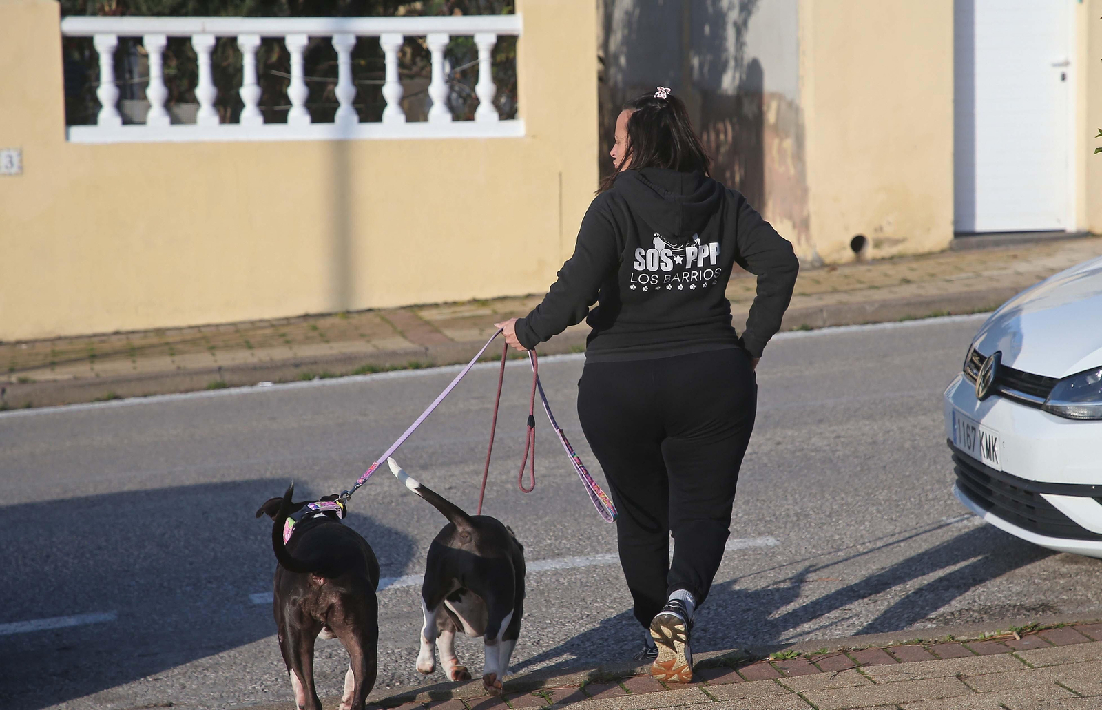 Fotos del encantador de perros de Algeciras