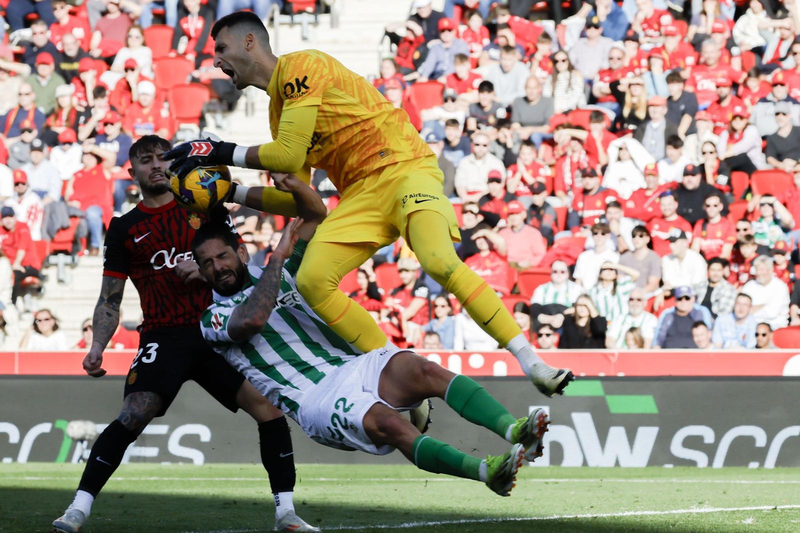 Las fotos del Mallorca - Betis