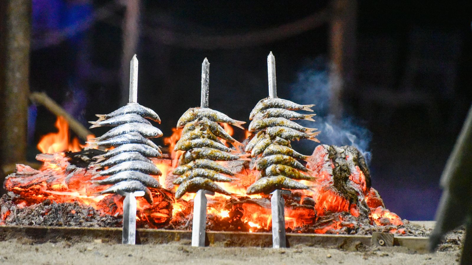 Fotos de la hoguera de San Juan en La Línea