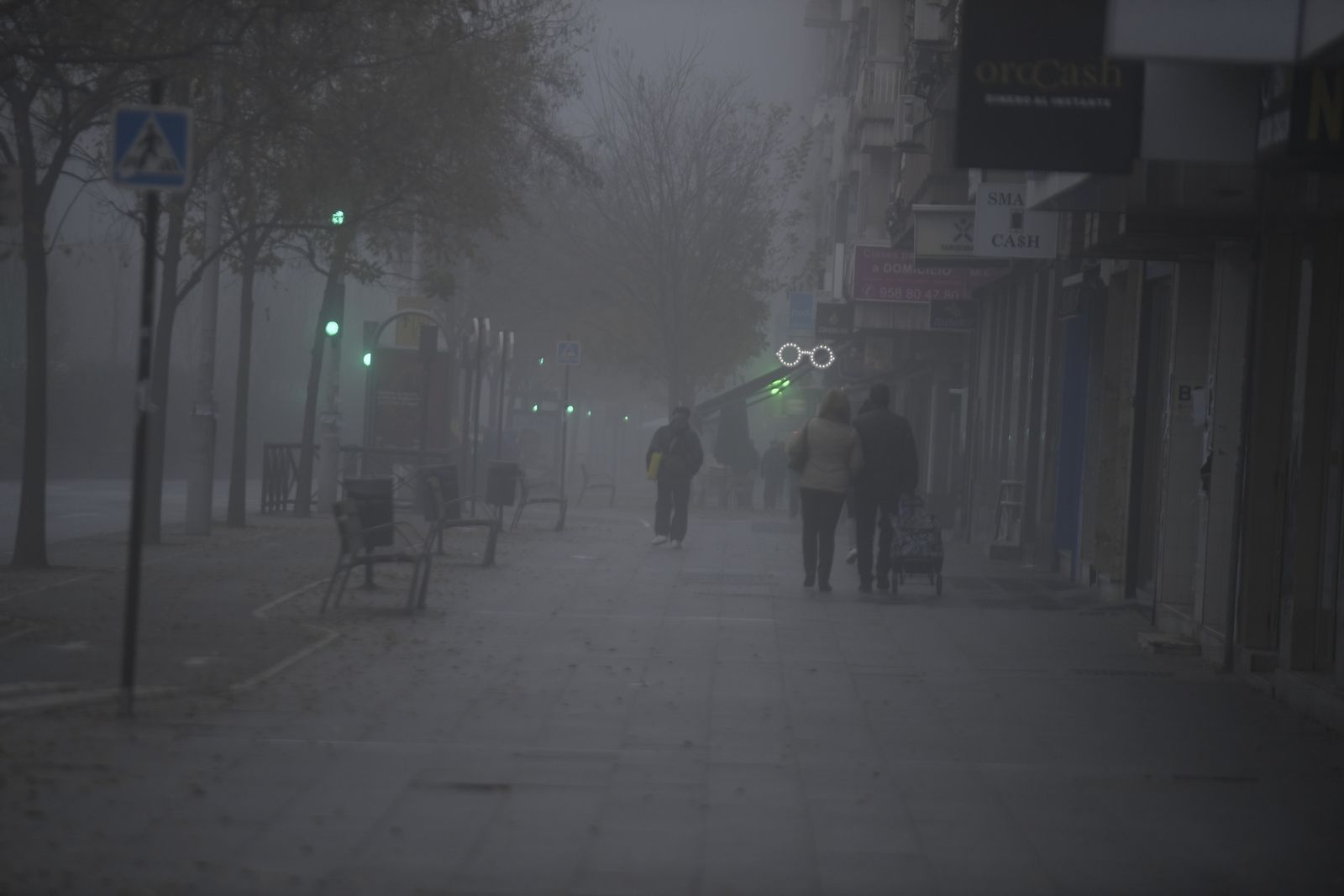 ¿Granada o Londres? Así ha amanecido la ciudad con una espesa niebla