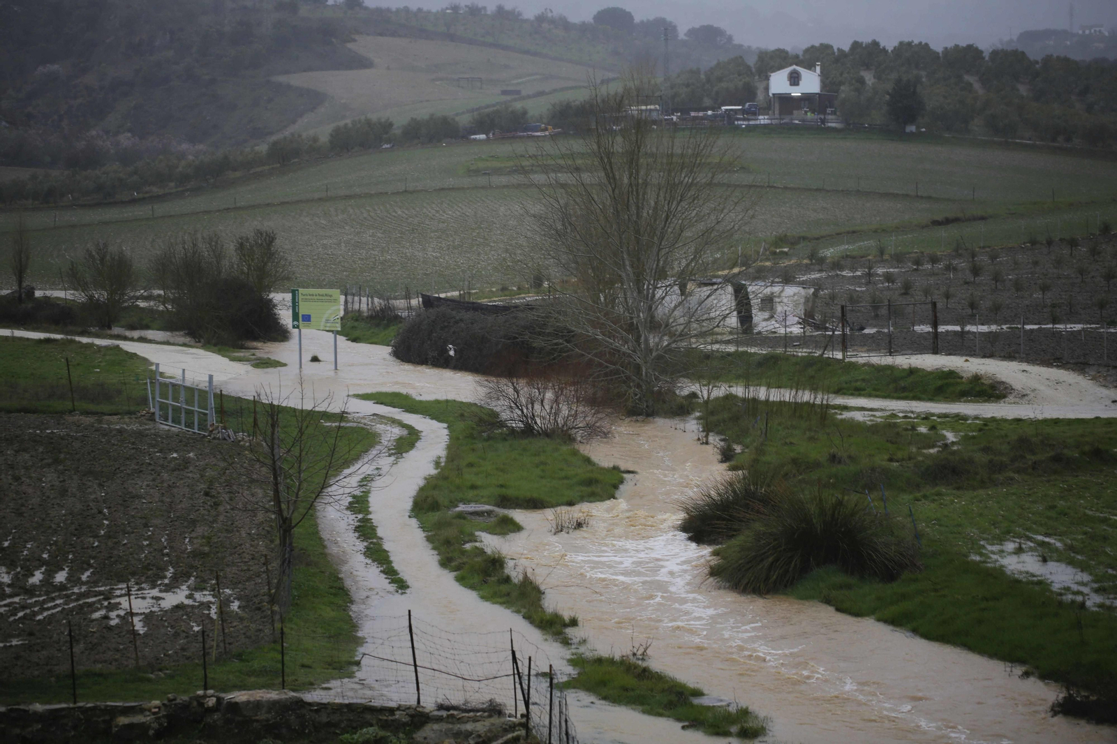 Temporal de viento y lluvia en la provincia