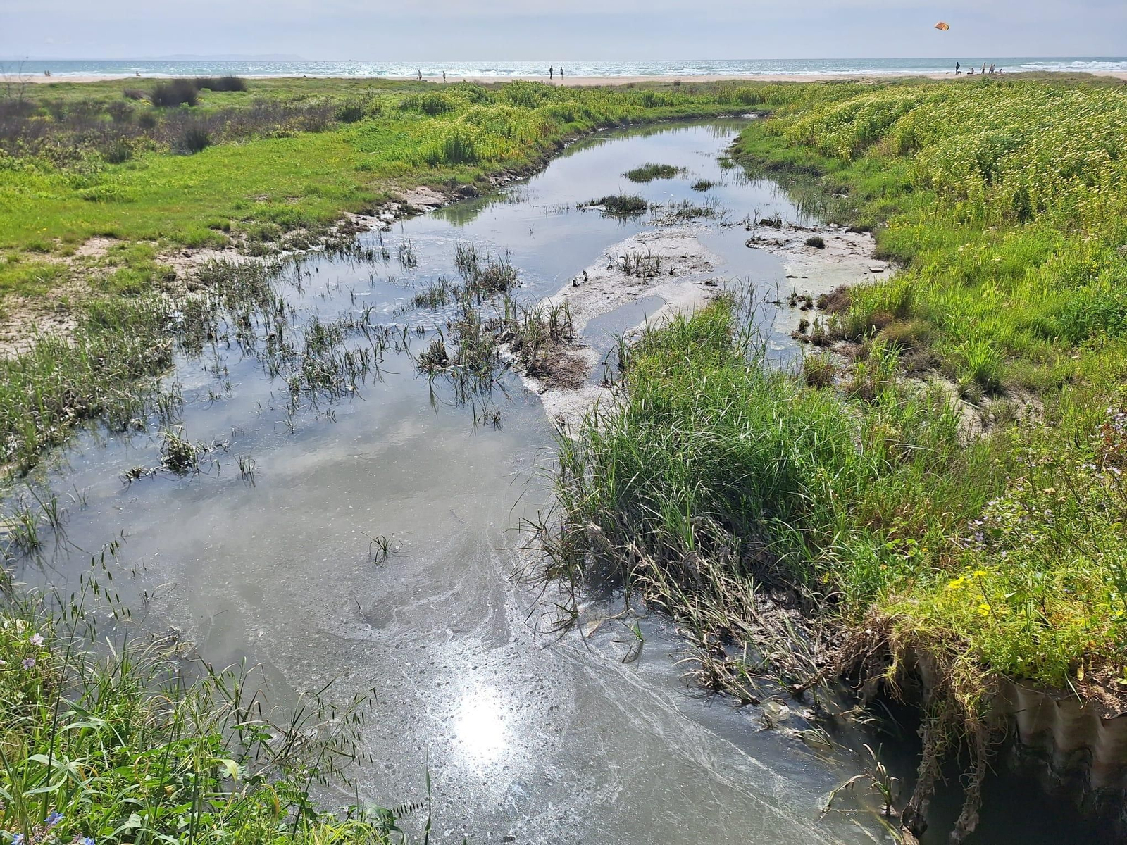 El vertido de aguas fecales en la playa de Los Lances de Tarifa, en imágenes.