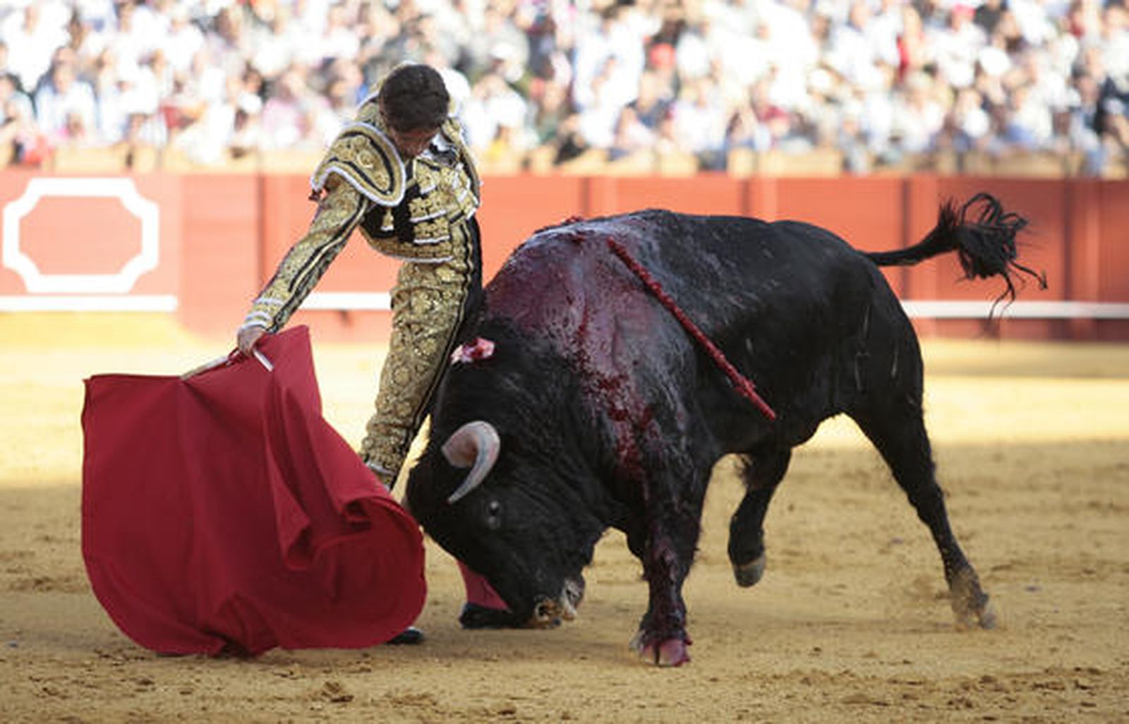 Castella./ Juan Carlos Muñoz