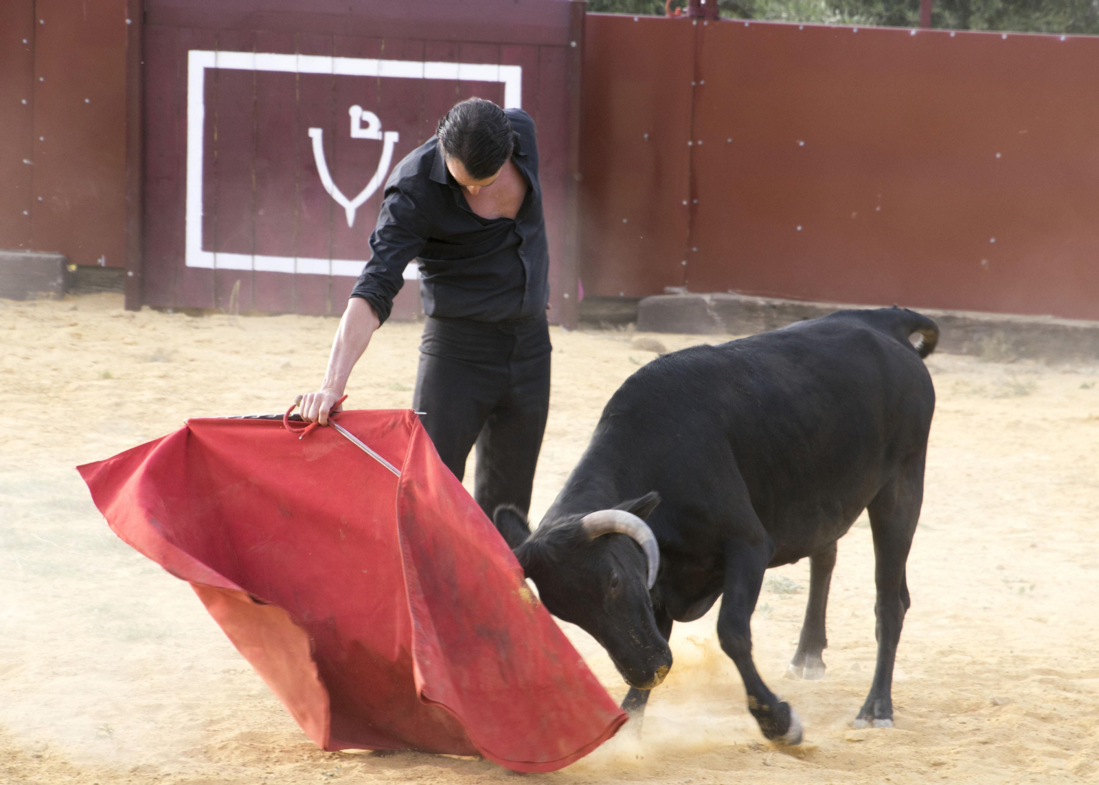 Finito de Córdoba, en un tentadero en la Sierra, en imágenes