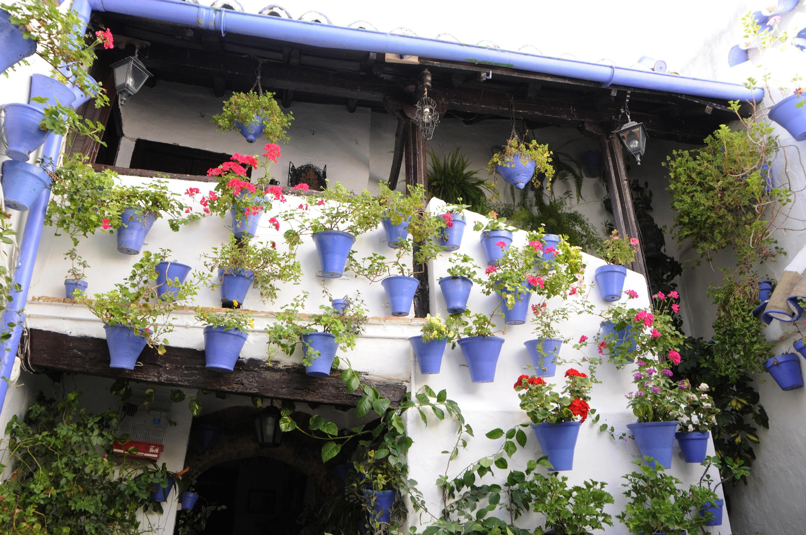 Los Patios de Córdoba se acicalan para su apertura en otoño, en fotografías